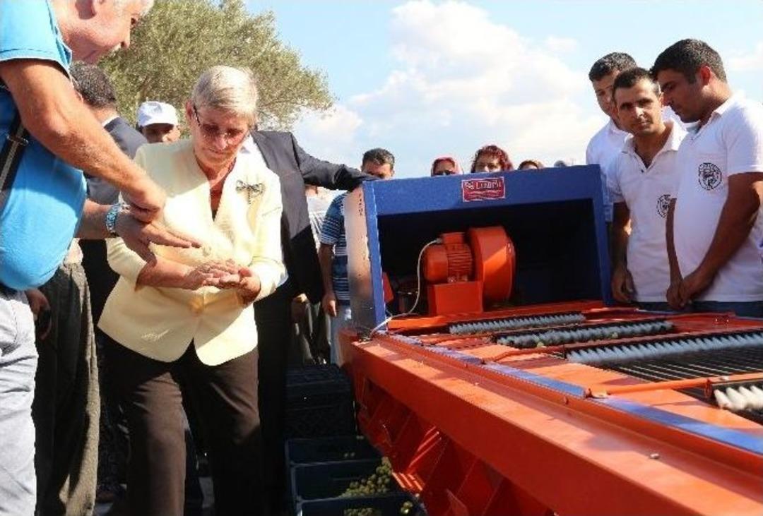 Canan Karatay: &ldquo;amerika 2025 Yılını Kıtlık Yılı Olarak Hesap Etmektedir&rdquo;