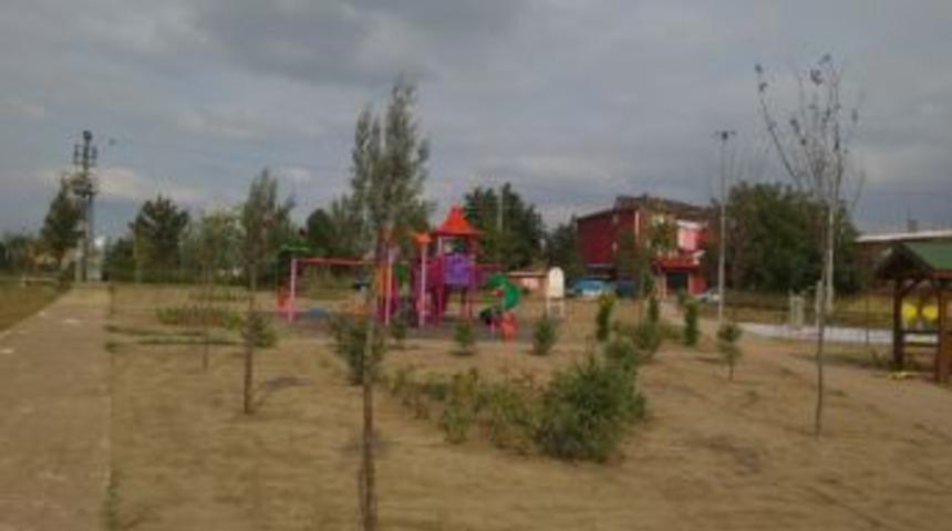 Kartepe&rsquo;de Ağa&ccedil;landırma &Ccedil;alışmaları S&uuml;r&uuml;yor