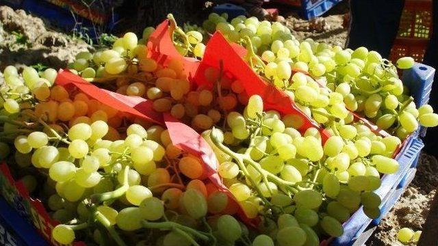 Sultaniye Üzümlerinin Yüzde 65’i İhraç Ediliyor