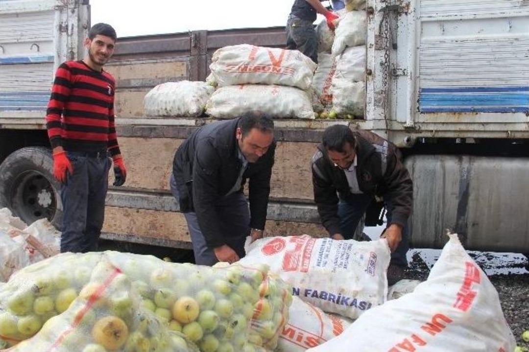 Iğdır&rsquo;da Organik Tarım Bio&ccedil;eşitliliği Artırdı