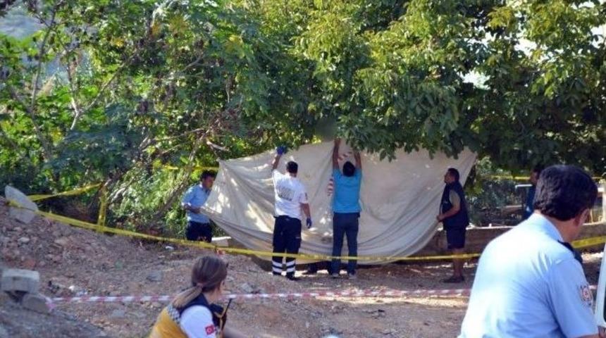 Ceviz Ağacına Kendini Astı