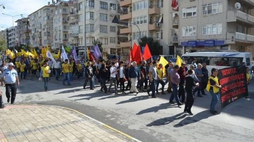 S&ouml;ke&rsquo;de Y&uuml;r&uuml;y&uuml;ş Ve Oturma Eylemi