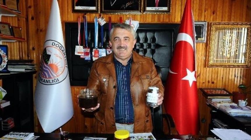 Doğanyurt&rsquo;ta Kestane Balı &Uuml;retimi Artıyor