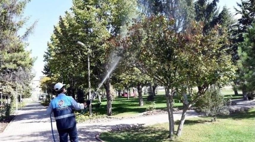 Kocasinan Belediye Başkanı Ahmet &Ccedil;olakbayraktar: