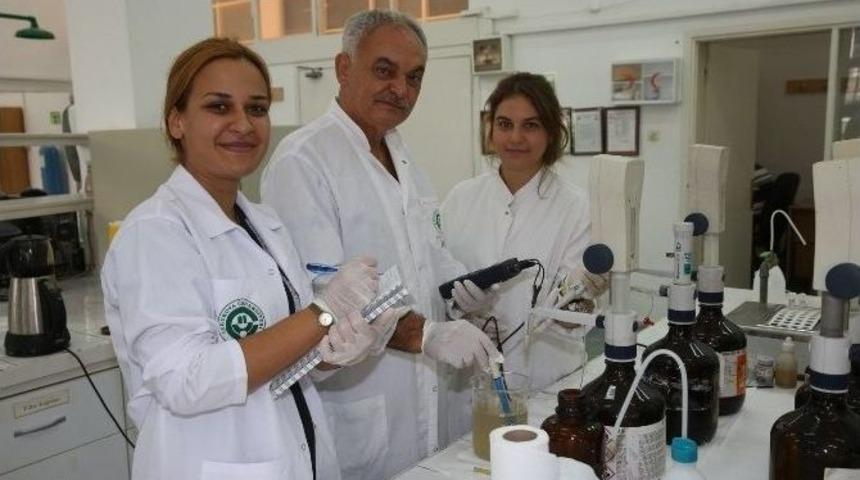 Hazır Su Mu Kullanılmalı, Yoksa Musluk Suyu Mu?