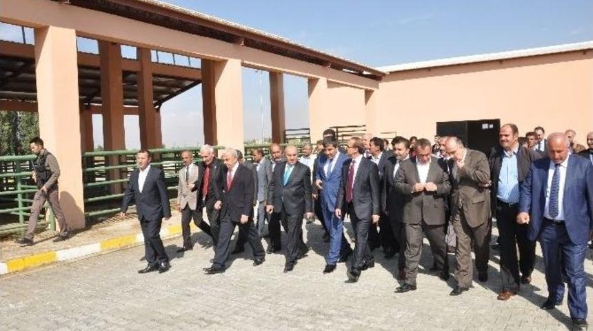 Vali Yavuz’dan Operasyonu Açıklaması