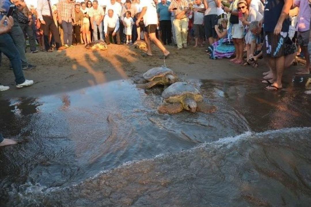 Sevgi Ve &Ouml;zlem Akdeniz&rsquo;de