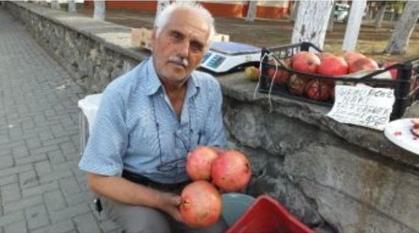 Hicaz Narı Şifa Kaynağı