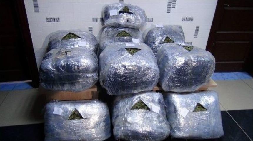 Siverekte 55 Kilo Esrar Ele Ge&ccedil;irildi