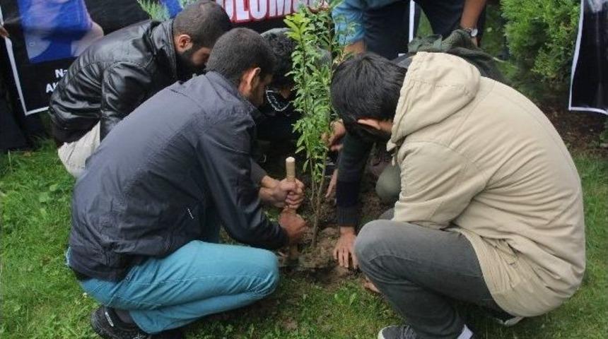 Ko&uuml;&rsquo;l&uuml; &Ouml;ğrenciler Patlamada &Ouml;lenler İ&ccedil;in Ağa&ccedil; Dikti