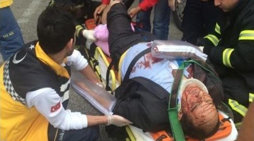 Yarış Atı Taşıyan Kamyonet Devrildi, Can Pazarı Yaşandı