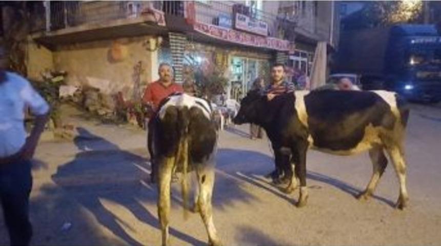 Ork&ouml;y&rsquo;den Vatandaşlara D&uuml;ve Ve G&uuml;neş Enerji Sistemleri Desteği