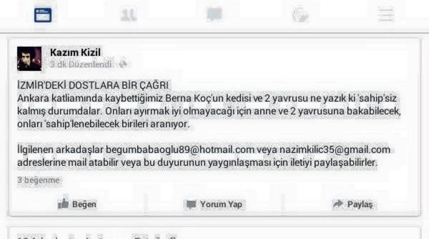 Ter&ouml;re Kurban Giden Kimsesiz Kızın Kedileri De Kimsesiz Kaldı