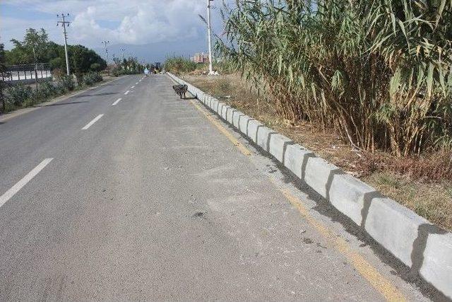 Eski Manisa Yolunda Bordür Çalışmaları Başladı