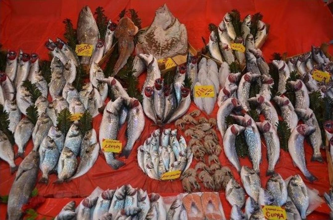 Başrolde Bu Yıl Hamsi Var