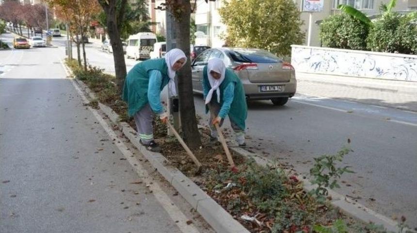 Nil&uuml;ferde Cadde Ve Sokaklar Yeşillendiriliyor