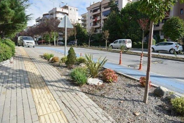 Nil&uuml;ferde Cadde Ve Sokaklar Yeşillendiriliyor 1