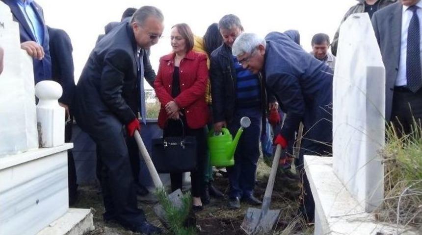 Kars&rsquo;ta Mezarlıklar Ağa&ccedil;landırılıyor