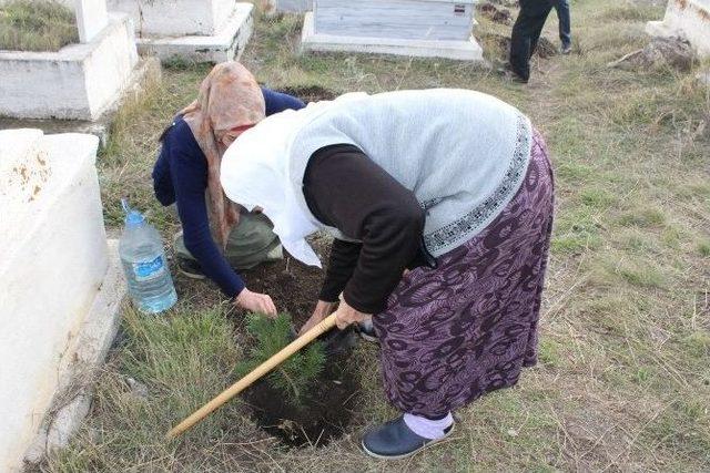 Kars’ta Mezarlıklar Ağaçlandırılıyor