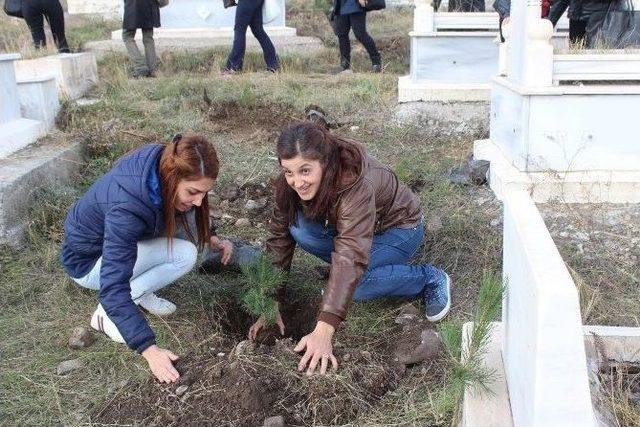 Kars’ta Mezarlıklar Ağaçlandırılıyor