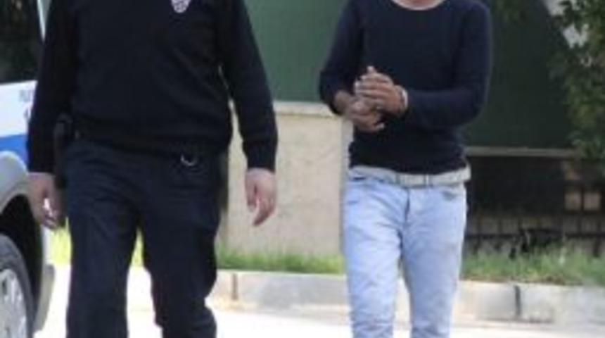 Fındık Hırsızlığına Adli Kontrol