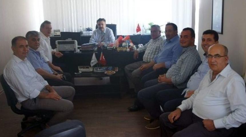 Zeytinyağı 20 İlde Tanıtılacak