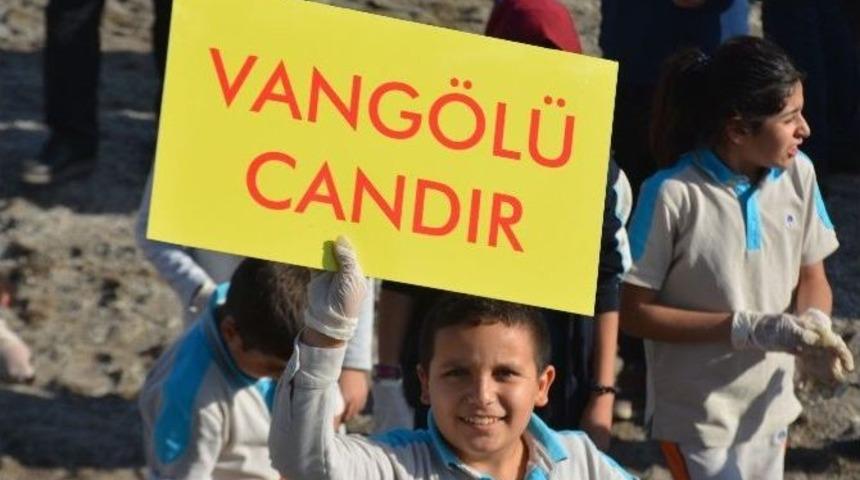 Van G&ouml;l&uuml;&rsquo;ne Dikkat &Ccedil;ekmek İ&ccedil;in Sahilde &Ccedil;&ouml;p Topladılar