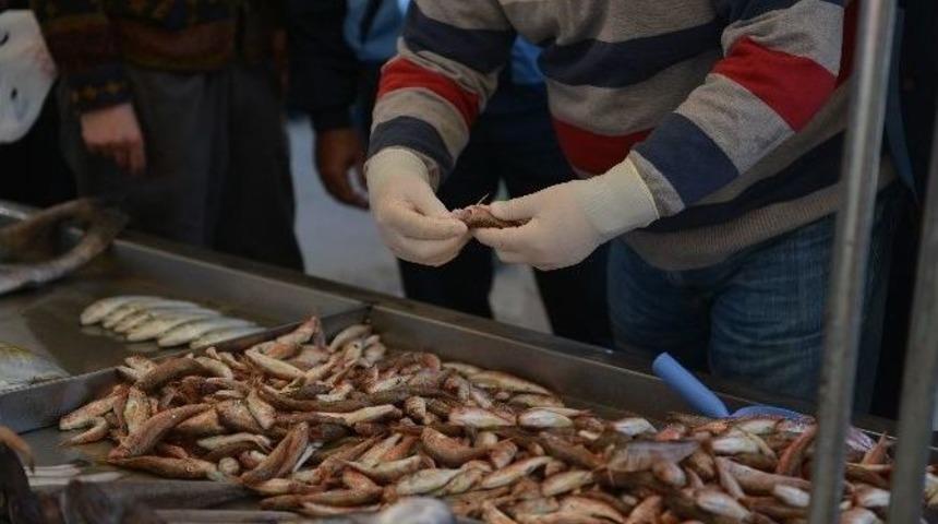 Balıklara Ve Balık Satıcılarına Sıkı Denetim