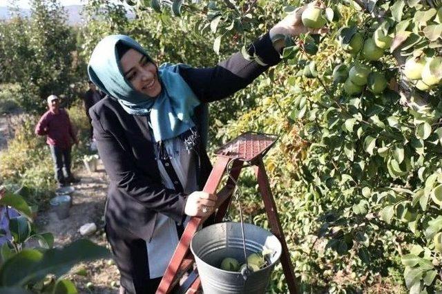 Sena Nur Çelik, Seçim Çalışmalarına Devam Ediyor