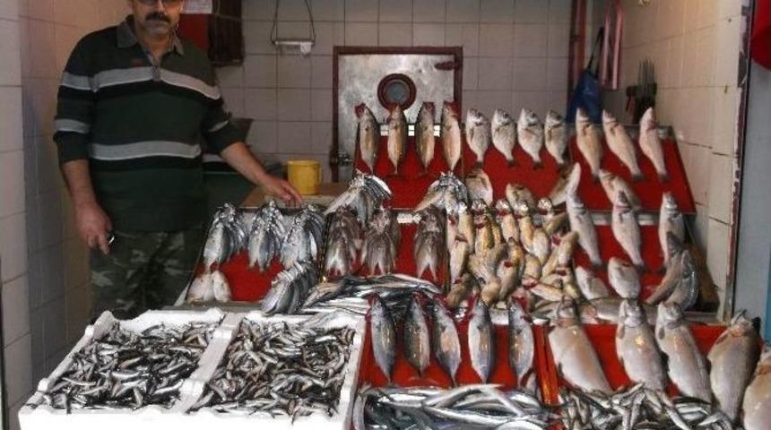 Hamsi Bereketi Hem Vatandaşı Hem Balık&ccedil;ıyı Memnun Etti