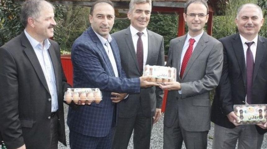 Yumurta &Uuml;reticilerine Kredi Desteği