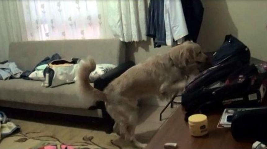 Siverek&rsquo;te Uyuşturucu Satıcılarına Şafak Operasyonu: 15 G&ouml;zaltı