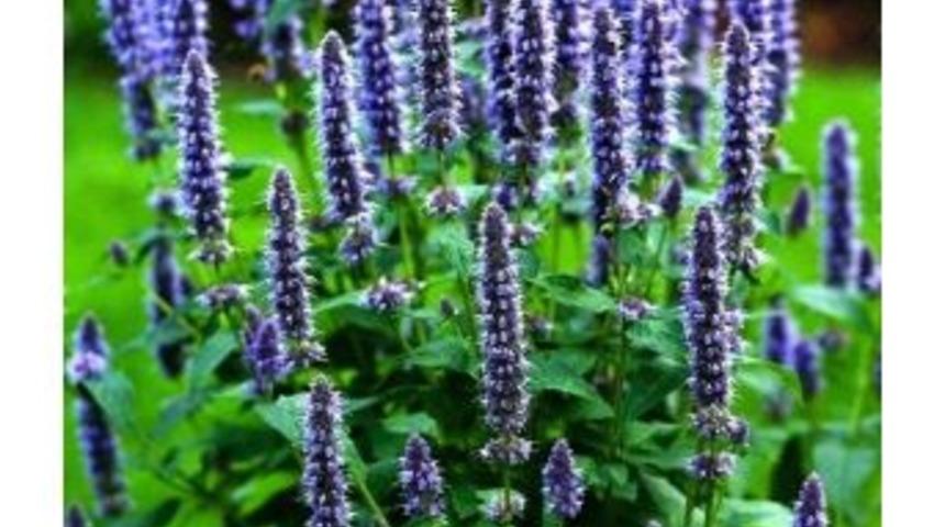 Mevsimsel Ge&ccedil;işlere Dikkat