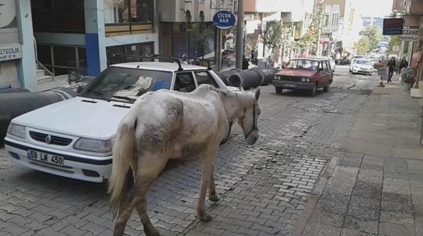 İpini Koparan At Trafiği Karıştırdı