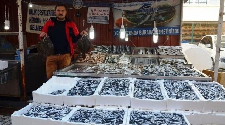 Tezgahlarda Balık Bereketi