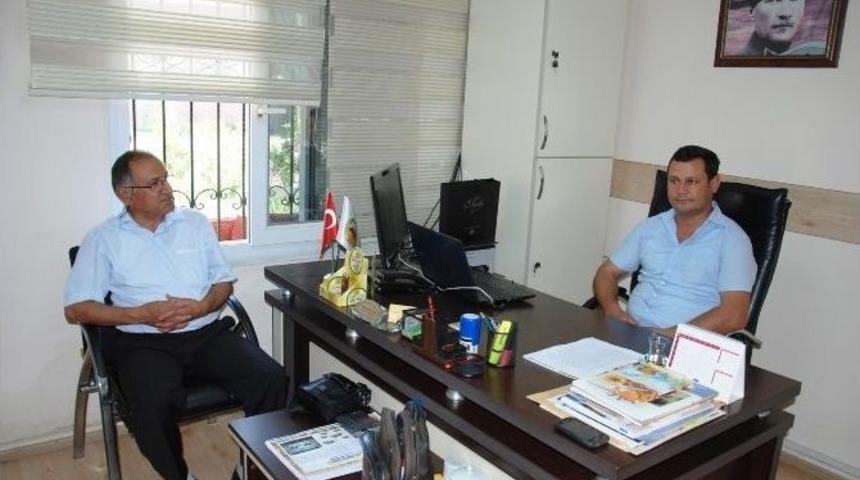 &Ccedil;am Biti Bal &Uuml;retimini Artırıyor