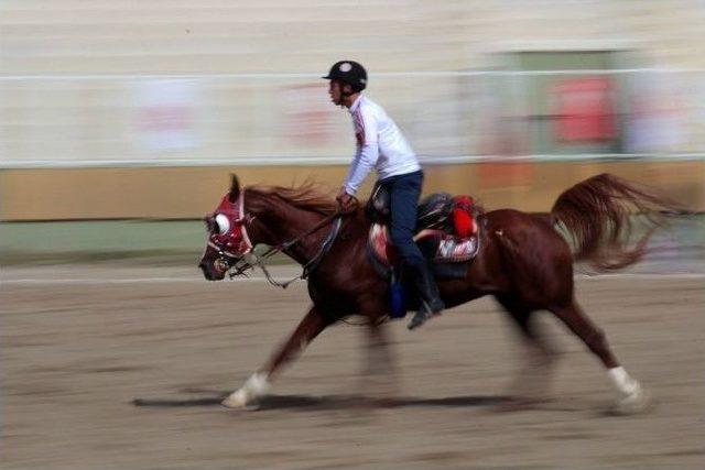 Atlı Cirit Türkiye Şampiyonası Maçları Devam Ediyor