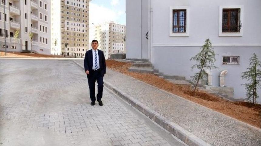 Meraklı Bekleyişte Mutlu Son