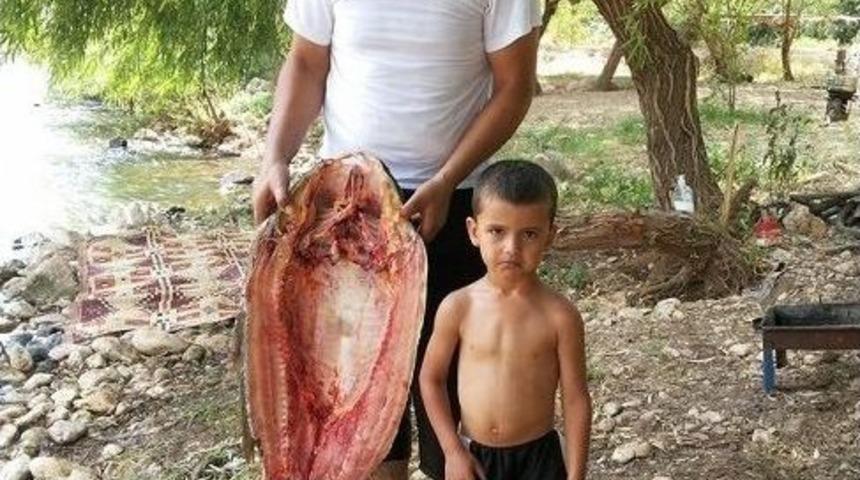 Sıtma Pınar &Ccedil;ayı&rsquo;nda Yakalanan 10 Kilogramlık Balık Şaşırttı