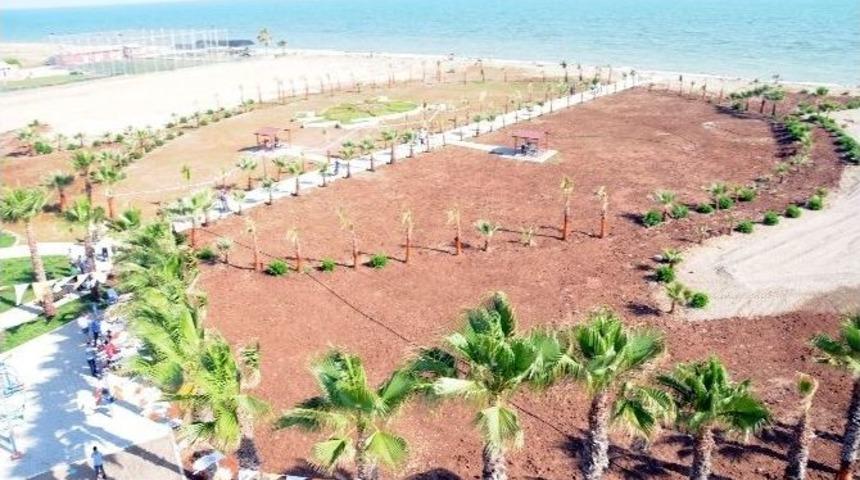 Akdeniz&rsquo;i Yeşillendirme &Ccedil;alışmaları