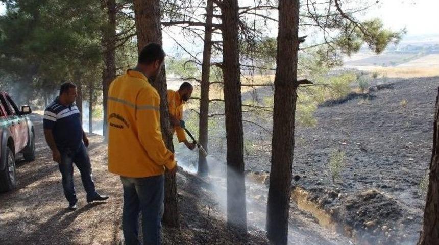 Yangın Ormanlık Alana Sı&ccedil;ramadan Son Anda S&ouml;nd&uuml;r&uuml;ld&uuml;