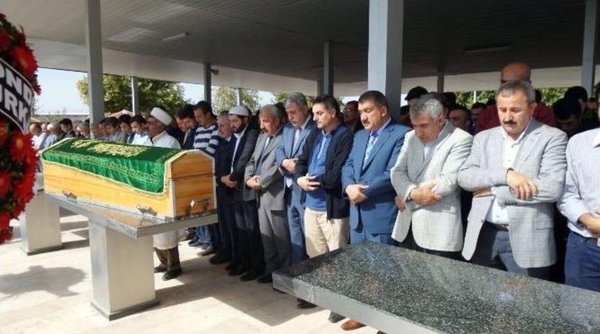 Tcdd 5. B&ouml;lge M&uuml;d&uuml;r Yardımcısı Toprağa Verildi