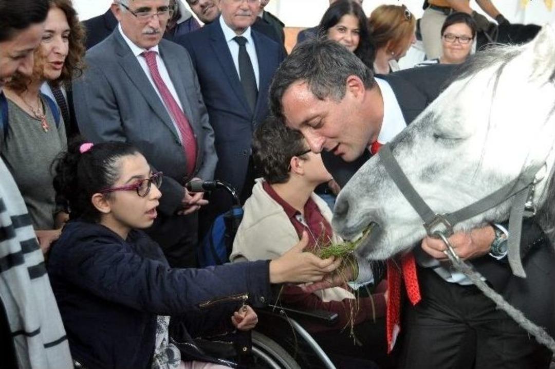 Down Sendromlu Ve Bedensel Engelli &Ccedil;ocuklara Atlı Terapi