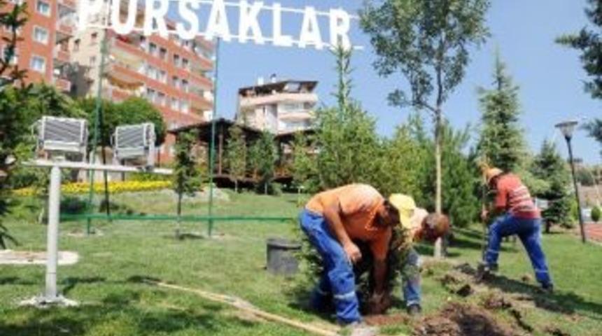 Pursaklar&rsquo;ın Parkları Sonbaharda Da Cıvıl Cıvıl