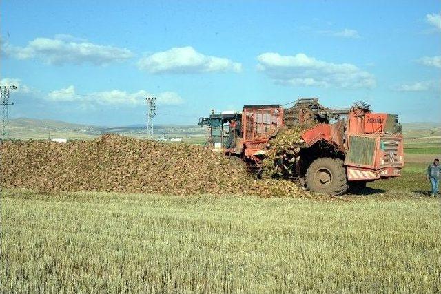 Bölge Çiftçilerinin Umudu Haline Gelen Kayseri Şeker’in Lisanslı Depo Çalışmaları Hızla Devam Ediyor