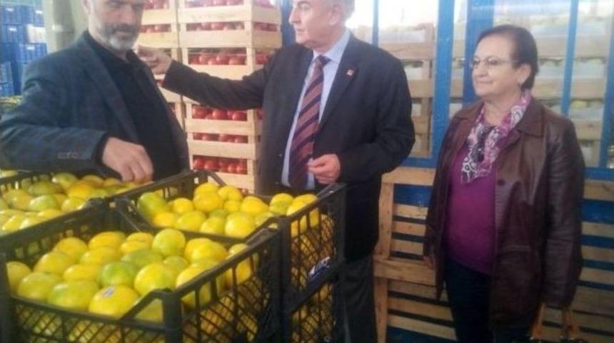 Chp D&uuml;zce Milletvekili Adayı Teber Dur Durak Bilmiyor