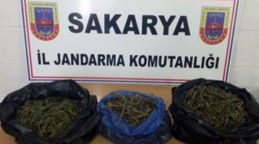 Sakarya&rsquo;da 4 Bin 500 Gram Kubar Esrar Ele Ge&ccedil;irildi