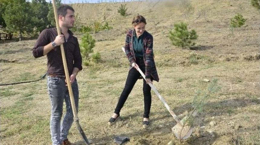 Sungurlu&rsquo;da &Ouml;ğrencileri Fidan Dikti