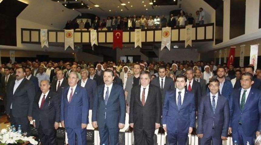 G&ouml;&ccedil;er Sorununda Mutlu Son