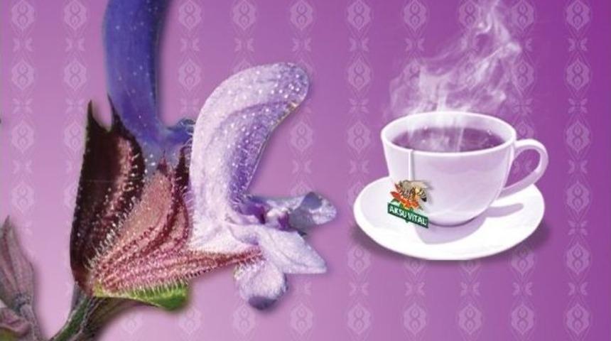 "bitki &Ccedil;ayları İle V&uuml;cut Direncinizi Arttırın"